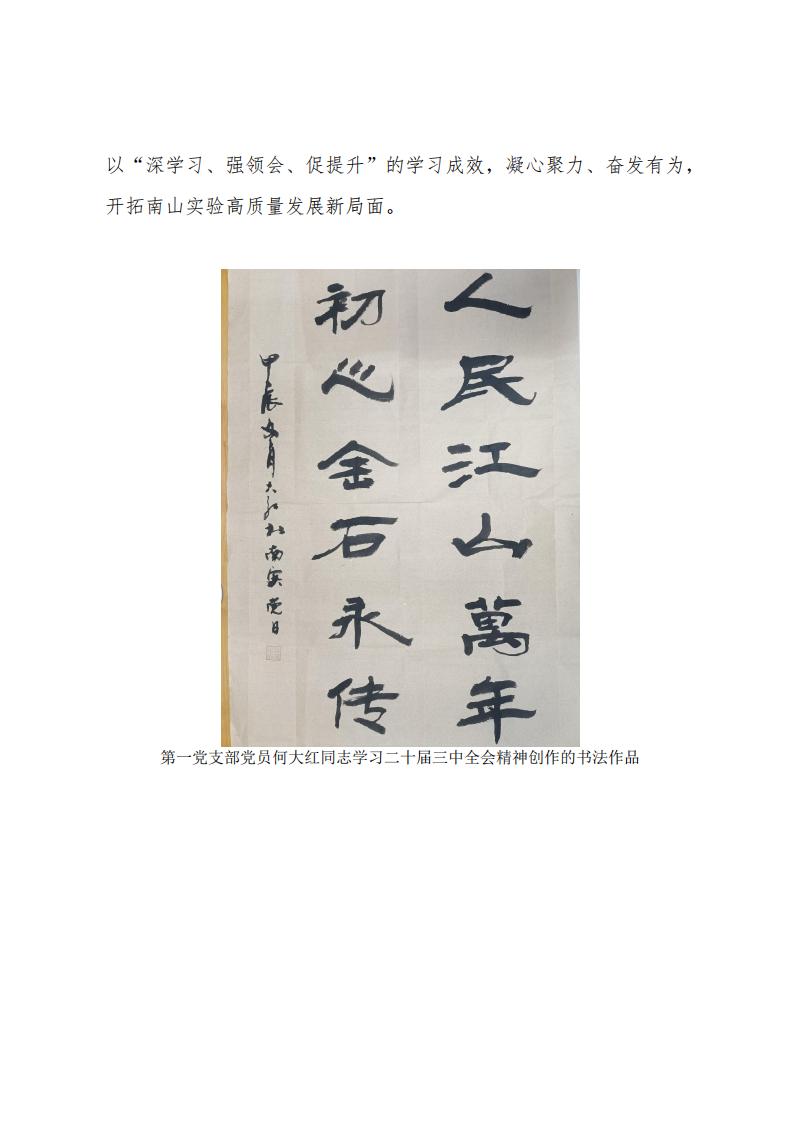 2024.11.29深學(xué)習(xí)、強領(lǐng)會、促提升南山實驗黨委組織開展黨員干部及全體黨員學(xué)習(xí)貫徹黨的二十屆三中全會精神專題培訓(xùn)_04.jpg
